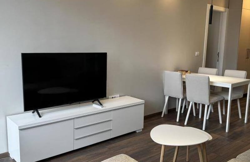 Vermietung einer möblierten 2-Zimmer-Wohnung im Stadtzentrum, 45 m², Belgrad, Serbien